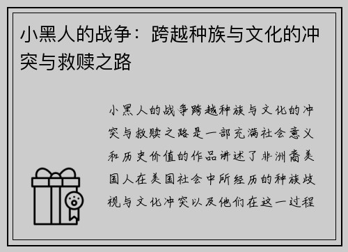 小黑人的战争:跨越种族与文化的冲突与救赎之路